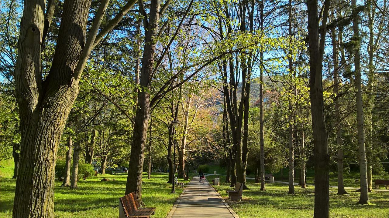 Apartman Linera Sokobanja Buitenkant foto